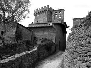  Monte S. Savino-Arezzo (ph. M. Meli)