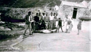 Grosso Pescespada catturato nella tonnara del Secco, anni ’50 (ph. Valeria Plaja, dal libro “San Vito lo Capo e la sua Tonnara …”)
