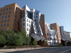 I nuovo edifici dell'università MIT (ph. frncesca Corrao)