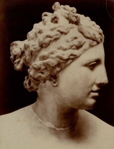 Venere dei Medici, copia romana della fine II sec. a, C. , Galleria Nazionale degli Uffizi, Firenze