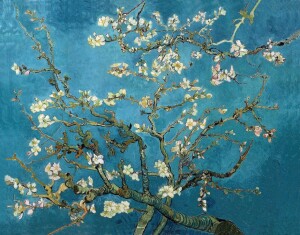 Vincent van Gogh, Mandorli in fiore