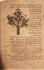 Leida, Universiteitsbibliotheek, MS or.289, f. 47v