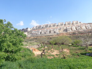 campi e colonie" (foto mia, 2013): espansione delle colonie nelle terre palestinesi coltivate dell'area di Betlemme