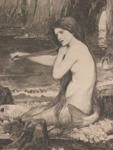Sirena, acquatinta XIX secolo (da “Sirene di Sicilia”, a cura di N. Ravazza, Magenes, Milano 2010)