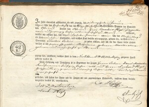 Registro di Nascite, matrimoni e decessi, 1798-1875, Worms, Germania -Ancestry.com