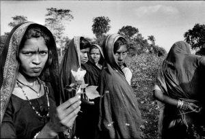 I fiori del cotone, India 2004 (ph. Danilo 