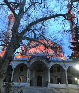Istanbul, Moschea Selimiye (ph. Fabrizia Vazzana)