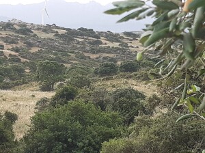 Alta Gallura (ph. Pietro Clemente)