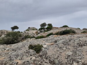 Alta Gallura (ph. Pietro Clemente(