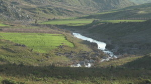 Nisseno (ph. Salvo Cuccia)