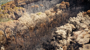 Terra nera (ph. Lorenzo Mercurio)