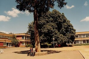 Addis Abeba, Scuola italiana