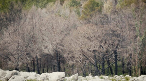 Terra nera (ph. Lorenzo Mercurio)