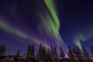 Canada, Tundra artica (ph. Seby Scollo)