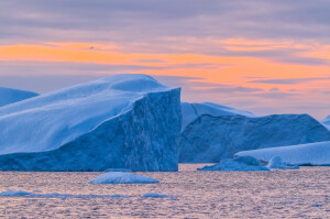 Islanda, Iceberg alla deriva(ph. Seby Scollo) 