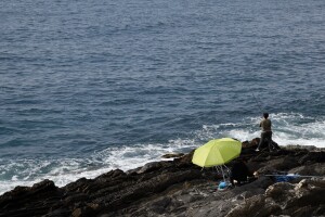 Nervi (ph. Giovanni Cerami)