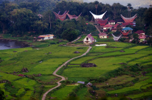 Villaggio Toraja (ph. Silvana Licciardello)