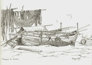 Fig. 3 Barca sorrentina (Bayard, 1832)