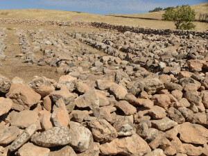 Gobeklitepe (ph. Nino Pillitteri)