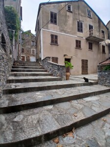 Corte, Corsica (ph. Corradino Seddaiu)