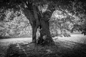 Lo chiederemo agli alberi (ph. Sabina Bernacchini)