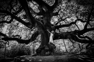 Lo chiederemo agli alberi (ph. Sabina Bernacchini)