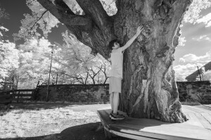 Lo chiederemo agli alberi (ph. Sabina Bernacchini)