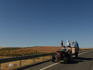 Sulla strada per Sanliurfa (ph. Nino Pillitteri)