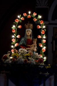 Madonna delle rose 