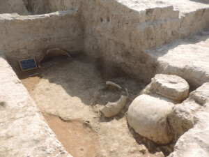 Kojtepa Corridoio n, 1, Stanza IV, con grandi giare da derrate, da Missione archeologica Italiana in Uzbekistan, Universita di Napoli “L’Orientale”;