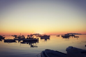 La pesca a Marsala (ph. Ibtissem Slimane)