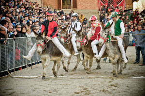 Il Palio dei Somari di Torrita Senese