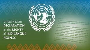 2-un-declaration-of-the-rights-of-indigenous-people