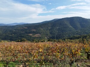 Paesaggio meanese (ph. Nicolò Atzori)